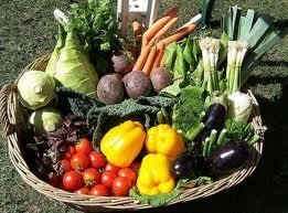 Benvenuti nel nostro sito web - Azienda Agricola la Prugna